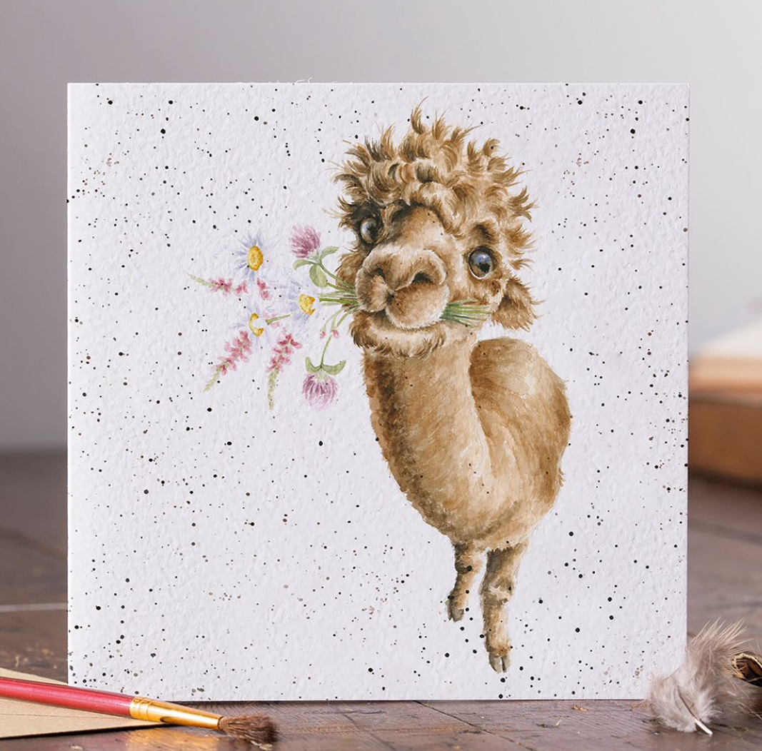 Hand-picked for You (Alpaca) - Blank Card - Wrendale Designs
