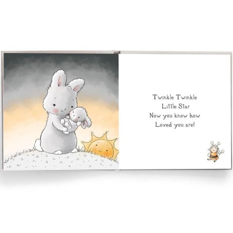 Bunnies by the Bay Little Star Story Book