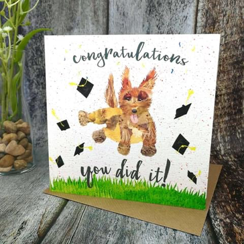Flying Teaspoons Graduation Blank Card