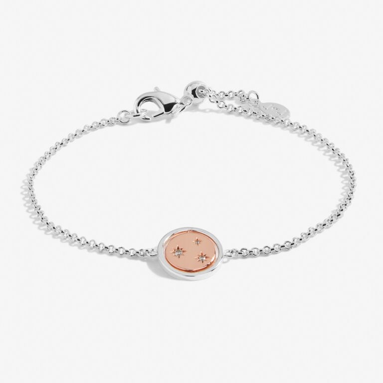 Joma Jewellery Sentiment Spinners - Family - Silver & Rose Gold Bracelet