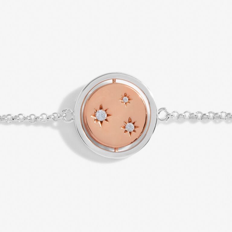 Joma Jewellery Sentiment Spinners Family Silver Rose Gold
