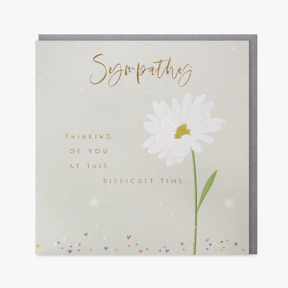 Belly Button Sympathy White Flower Card
