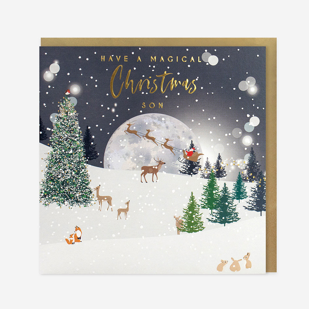 Belly Button Magical Christmas Son Santa Sleigh Woodland Card