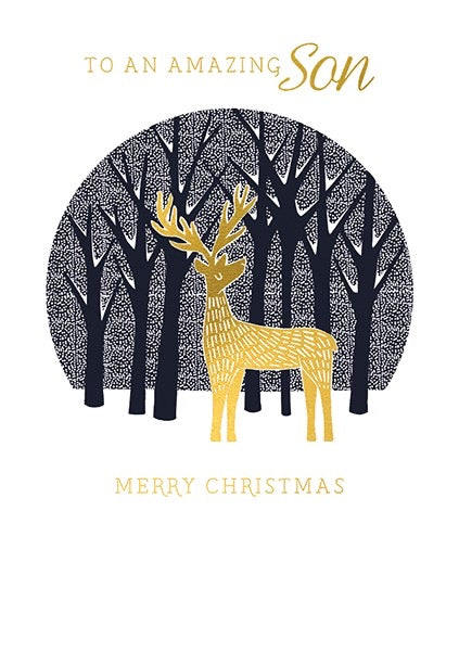 The Art File -Amazing Son Christmas Card