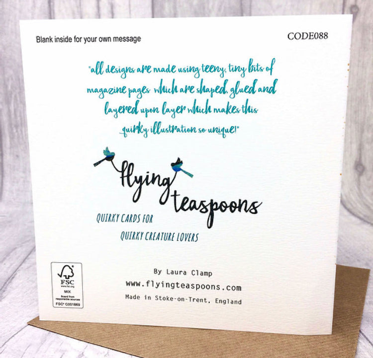 Flying Teaspoons Happy Birthday Nephew Card