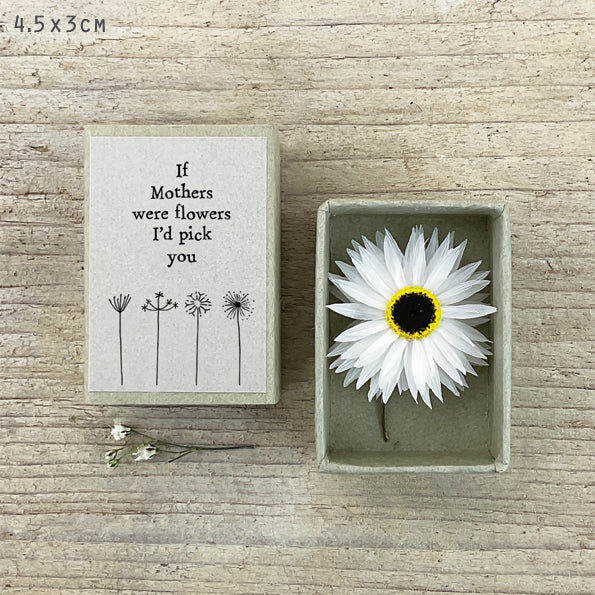 East of India Matchbox - Dried Flowers - If Mothers Were Flowers