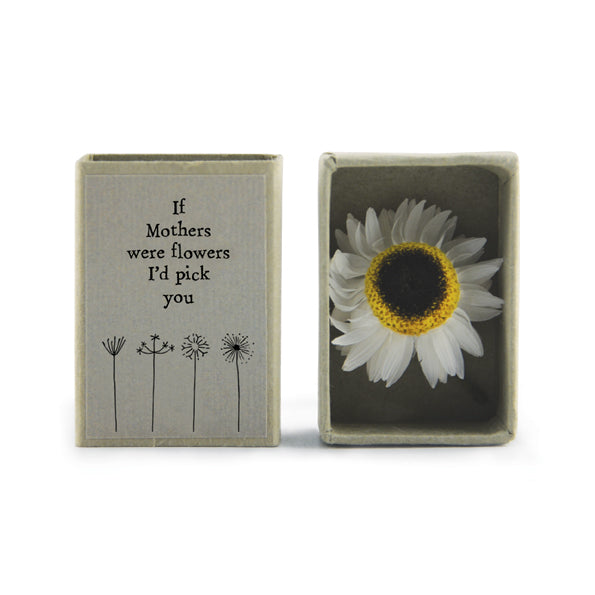 East of India Matchbox - Dried Flowers - If Mothers Were Flowers