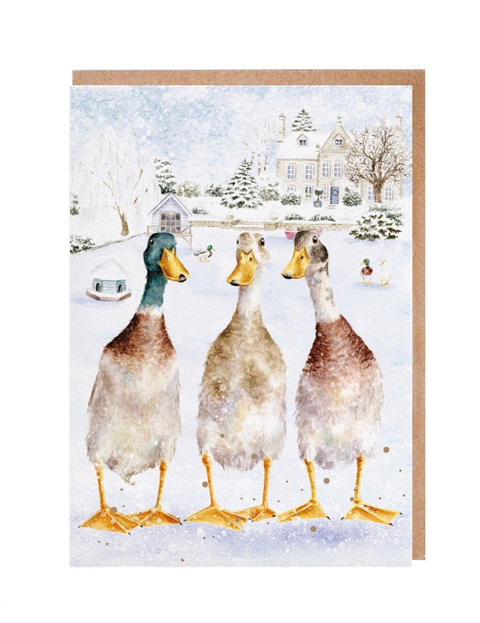 'Christmas on the Pond' Christmas Card Pack - Wrendale Designs