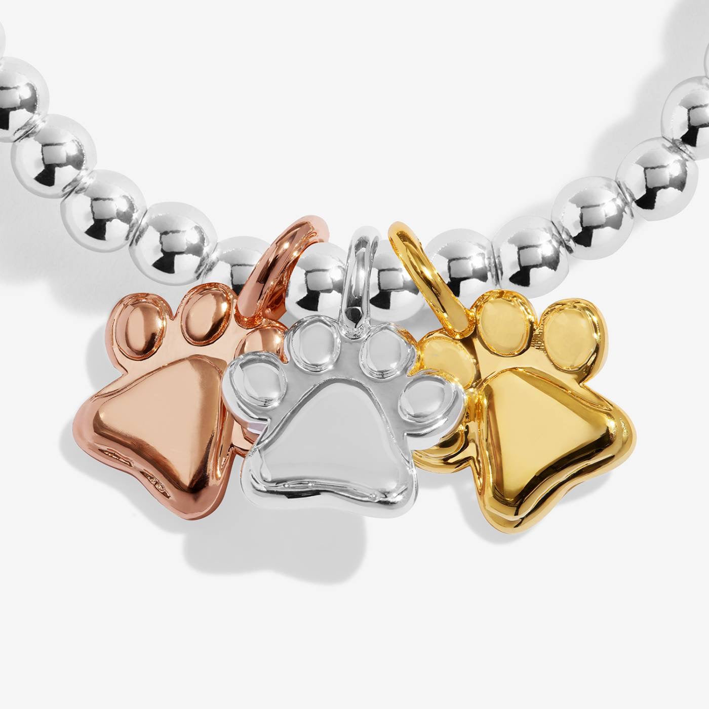Joma Jewellery - Charmed Moments - A Little 'Perfect Pawprints' - Three Tone Charm Bracelet