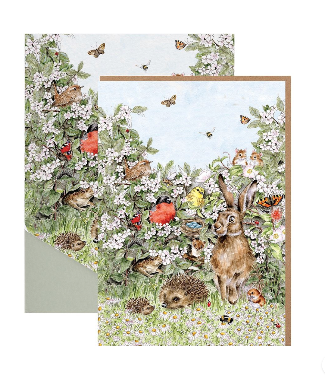 'Hidden in the Hedgerow' Nature Blank Notecard Card Pack - Wrendale Designs