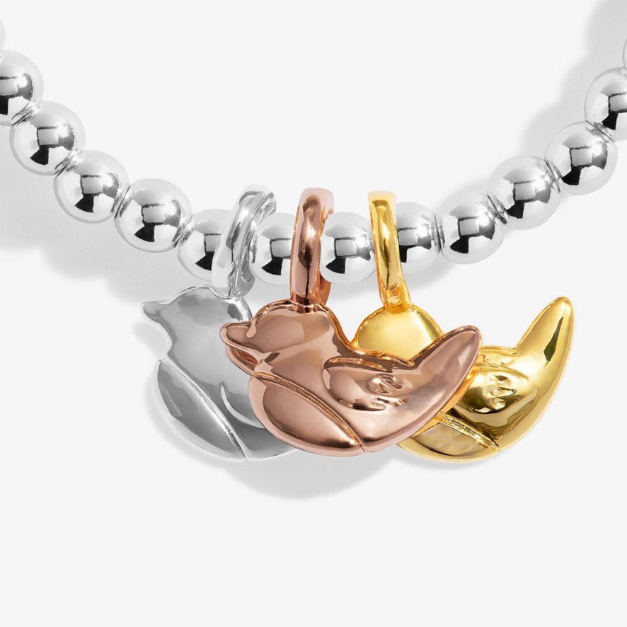 Joma Jewellery - Charmed Moments - A Little 'Robins Appear When Loved Ones Are Near' - Three Tone Charm Bracelet