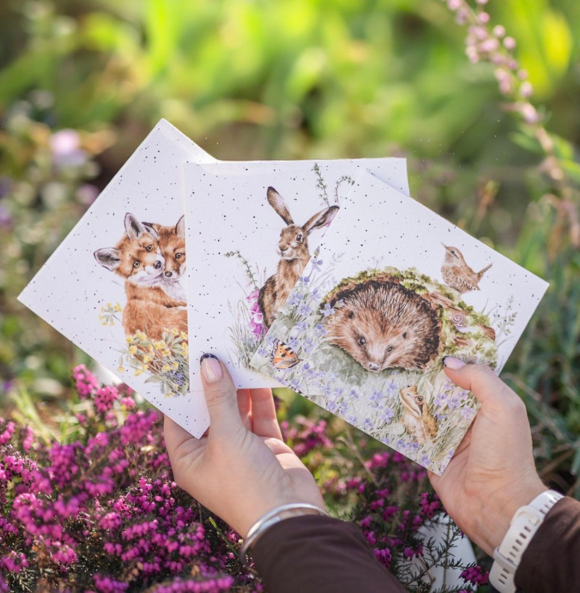 'The Wild Patch’ Hedgehog Blank Card - Wrendale Designs