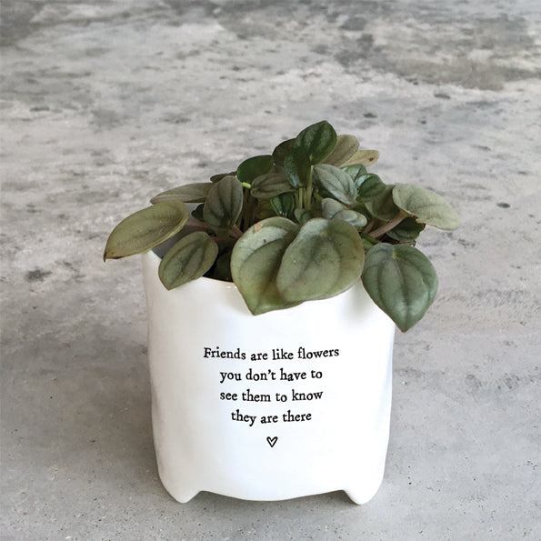 East of India Porcelain Mini Planter - Friends Are Like Flowers