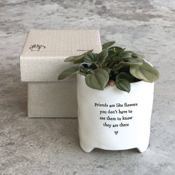 East of India Porcelain Mini Planter - Friends Are Like Flowers