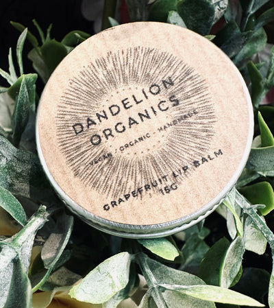 Dandelion Organics - Lip Balm - Grapefruit