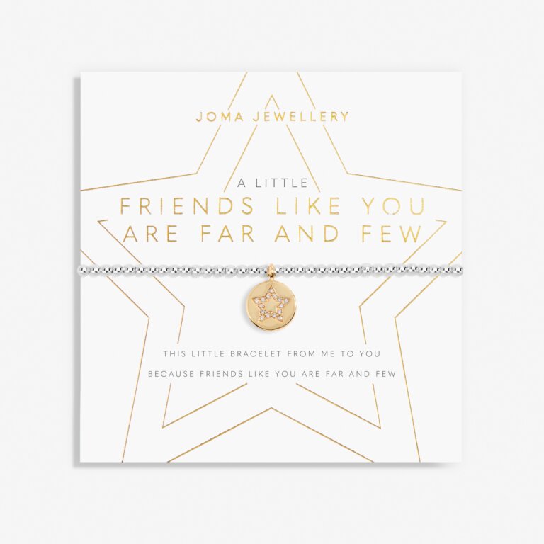 Joma Jewellery - 'A Little Friends Like You Are Far & Few' Bracelet