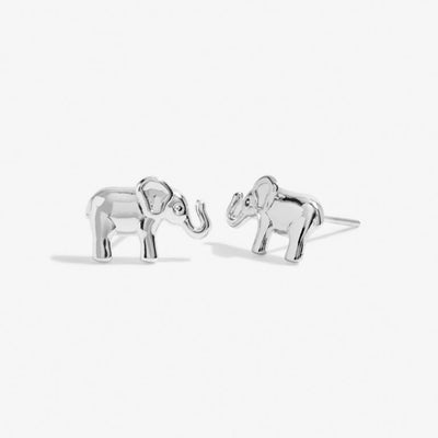 Joma Jewellery Beautifully Boxed 'Lucky Elephant' Earrings - Silver