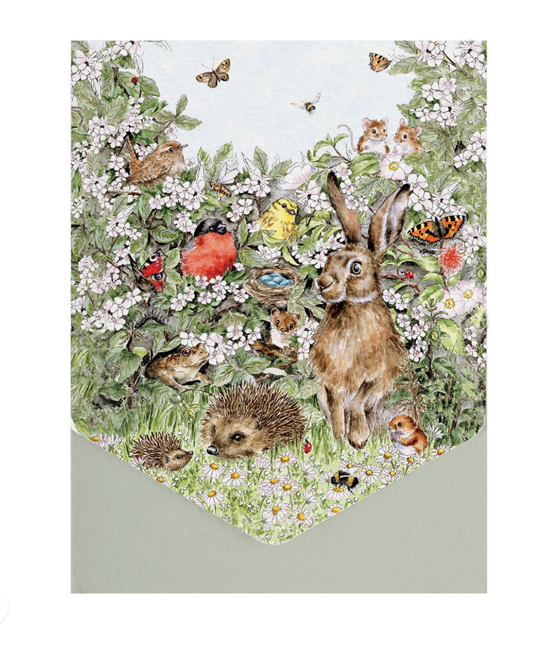 'Hidden in the Hedgerow' Nature Blank Notecard Card Pack - Wrendale Designs