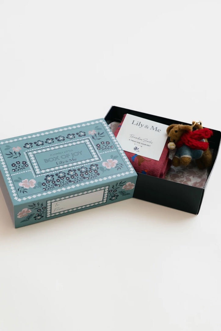 Lily &amp; Me - Windy Day Socks &amp; Felt Dog - Keyring &amp; Sock Gift Box Set