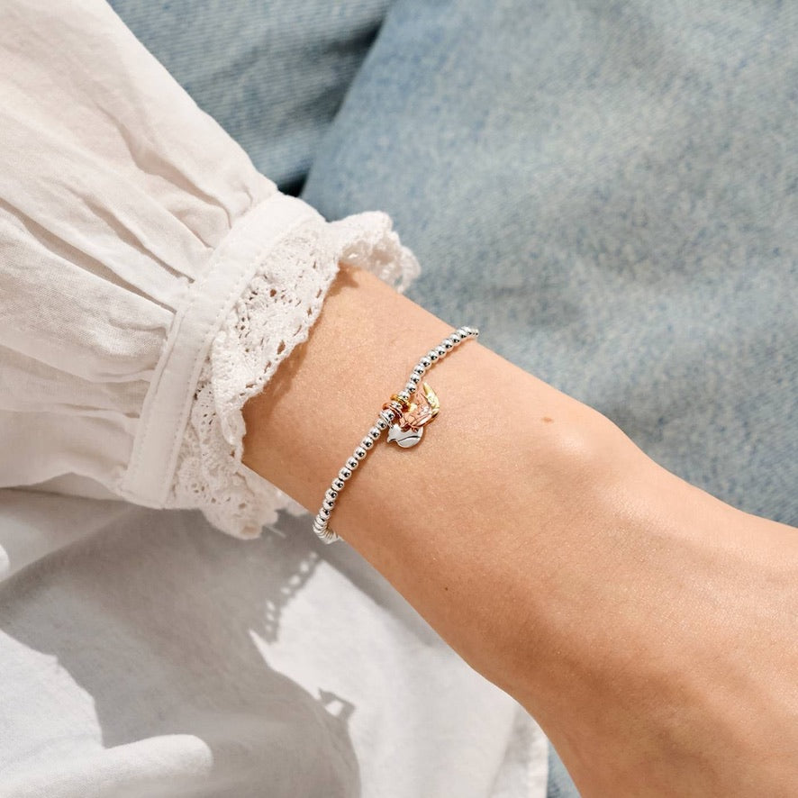 Joma Jewellery - Charmed Moments - A Little 'Robins Appear When Loved Ones Are Near' - Three Tone Charm Bracelet