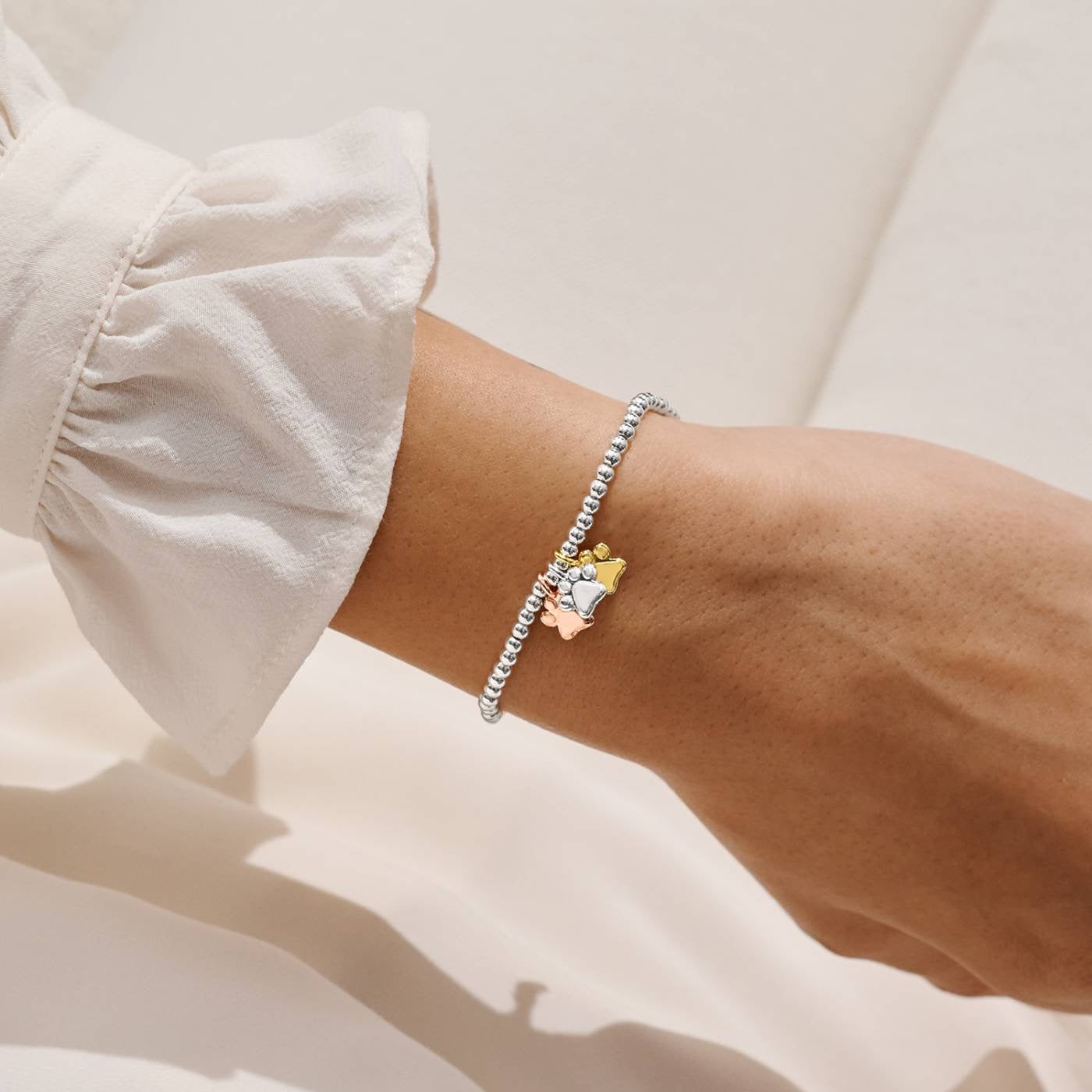 Joma Jewellery - Charmed Moments - A Little 'Perfect Pawprints' - Three Tone Charm Bracelet