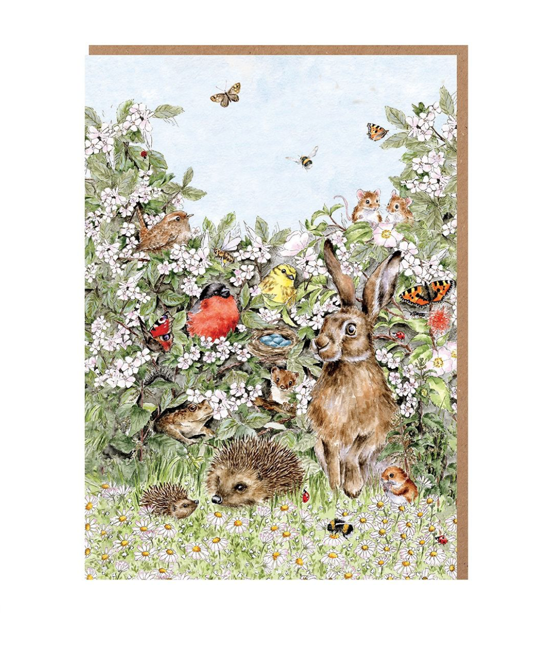 'Hidden in the Hedgerow' Nature Blank Notecard Card Pack - Wrendale Designs
