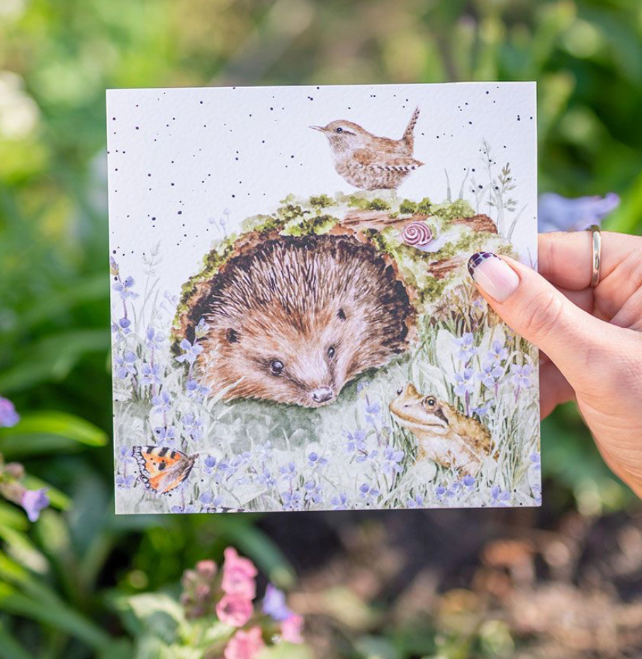 'The Wild Patch’ Hedgehog Blank Card - Wrendale Designs