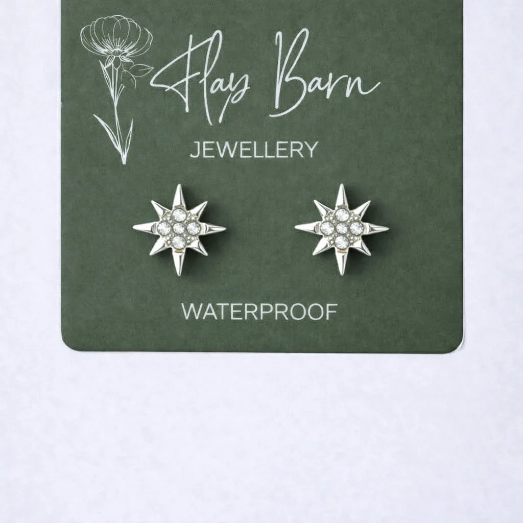 Starburst Crystal Studs - Silver Stud Earrings - Flax Barn Waterproof Jewellery