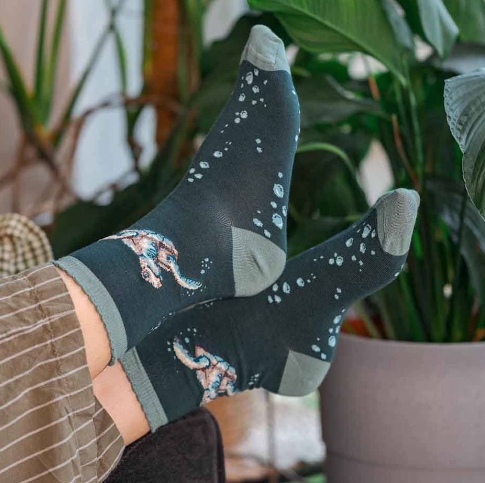 'Swimming School' (Turtle) Ladies Ankle Socks - Wrendale Design