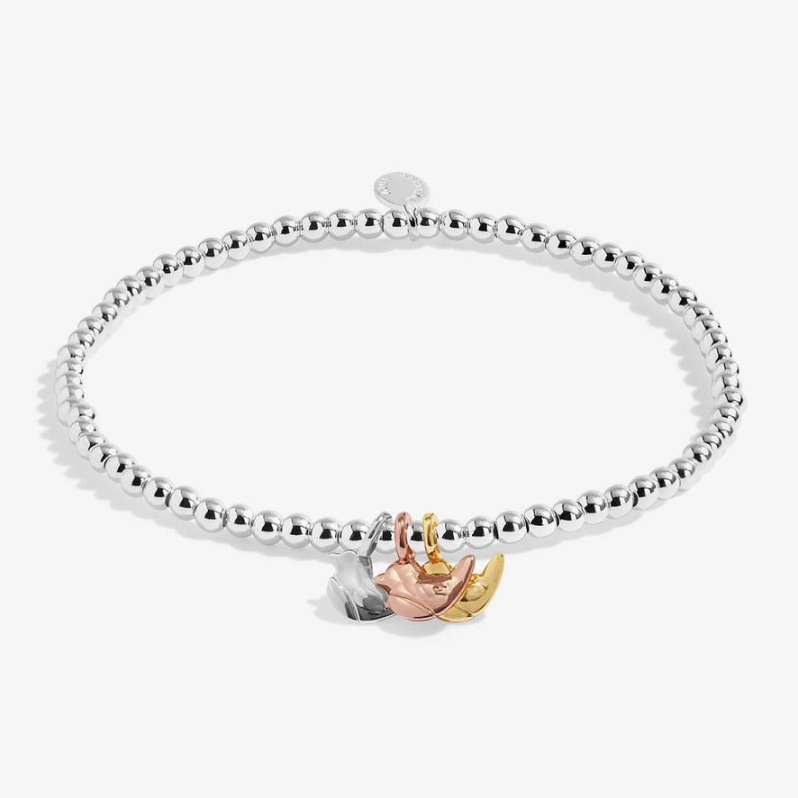 Joma Jewellery - Charmed Moments - A Little 'Robins Appear When Loved Ones Are Near' - Three Tone Charm Bracelet