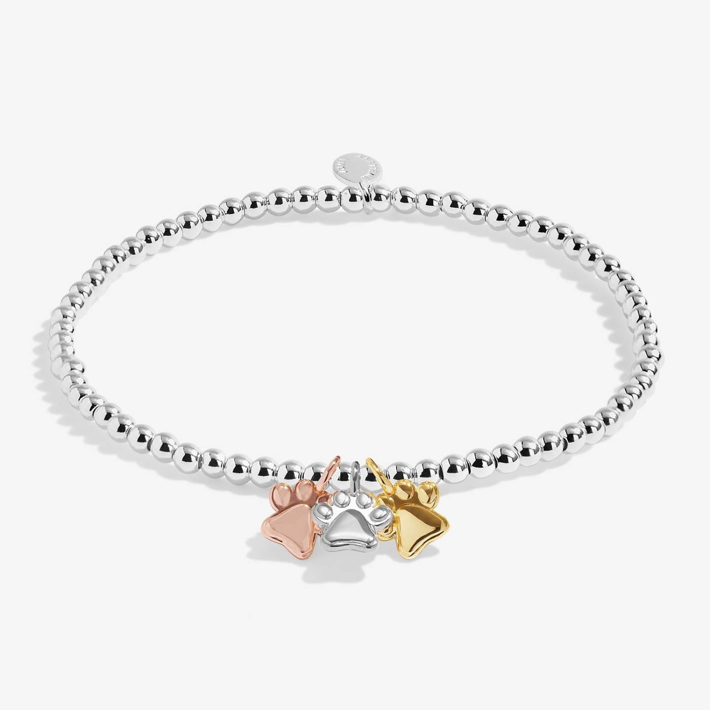 Joma Jewellery - Charmed Moments - A Little 'Perfect Pawprints' - Three Tone Charm Bracelet