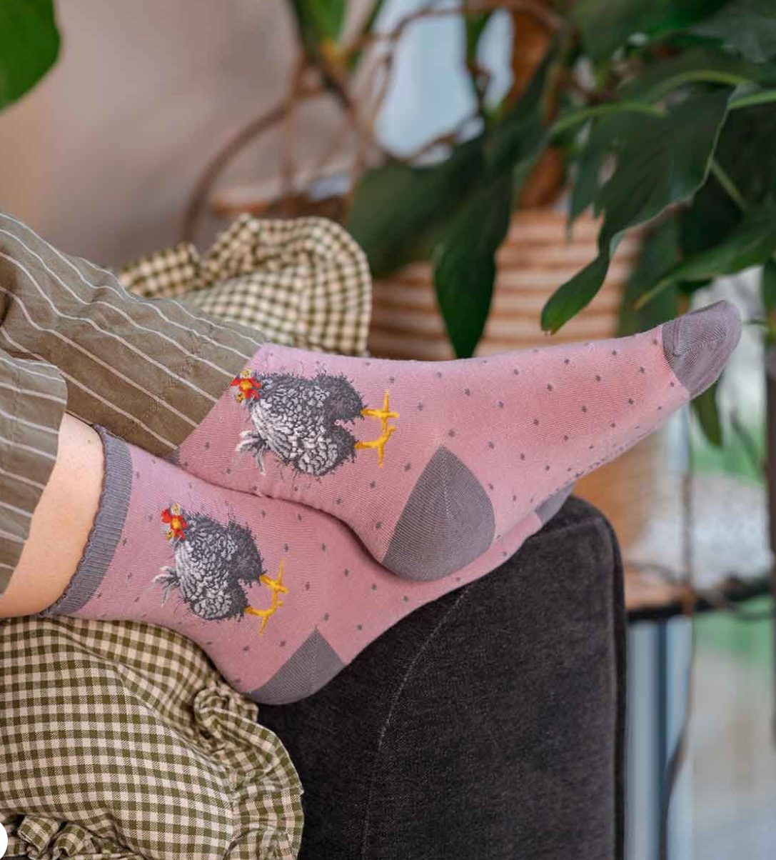 Curious Hen - Pink - Ladies Bamboo Ankle Socks - Wrendale Design