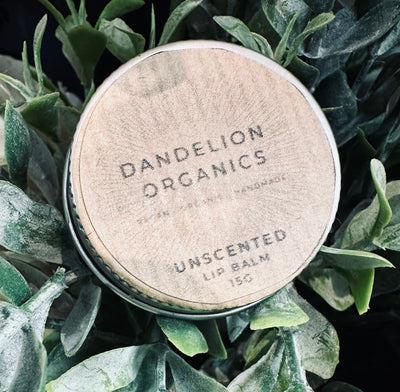 Dandelion Organics - Lip Balm - Unscented