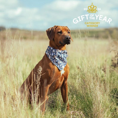 Dog Bandana - Wrendale Designs