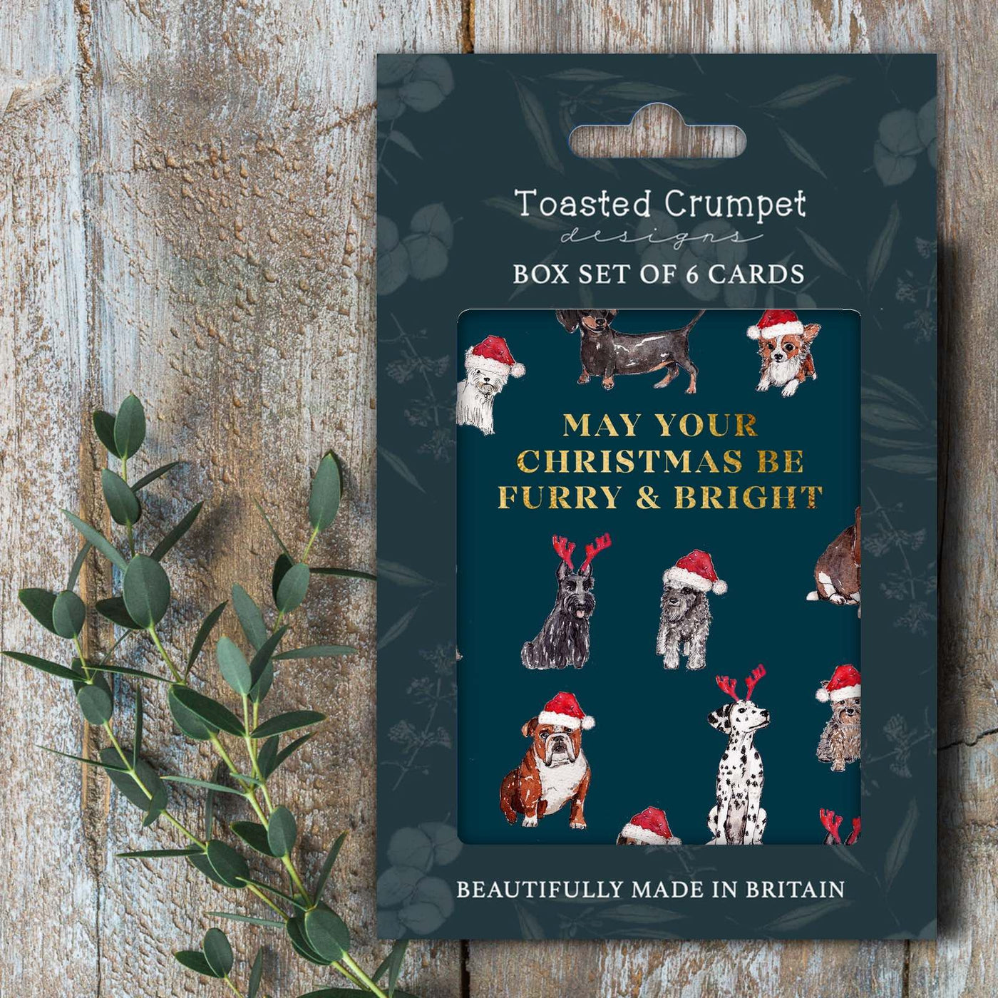 Toasted Crumpet - Furry & Bright (Festive Dogs) - Christmas Mini Boxed Cards - Set of 6