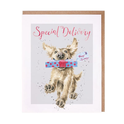 'Special Delivery' Dog Birthday Card - Wrendale Designs