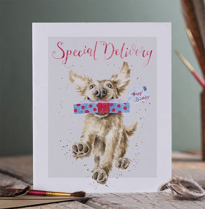 'Special Delivery' Dog Birthday Card - Wrendale Designs