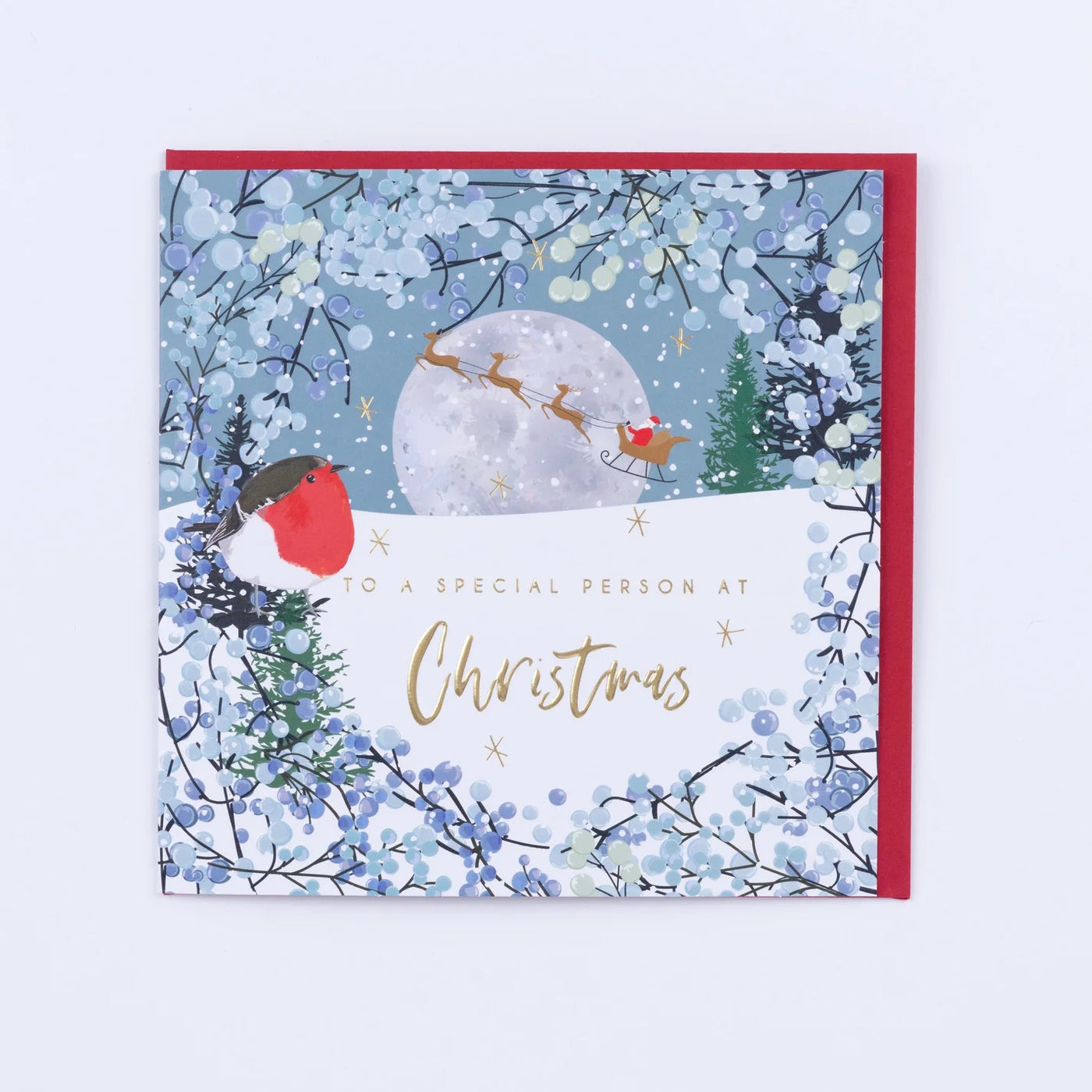 Belly Button Merry Christmas to a Special Person Winter Scene Robin Card