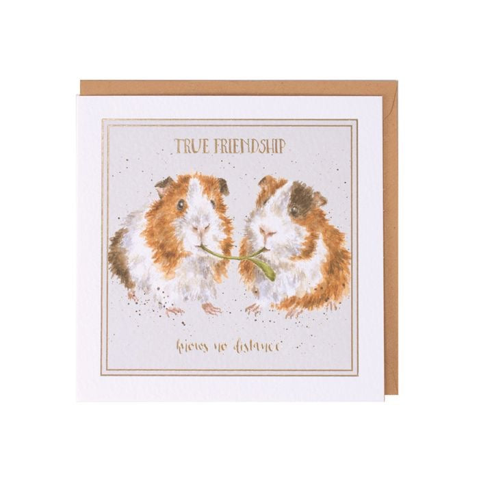 'True Friendship' Guineapigs Small Card - Wrendale Designs