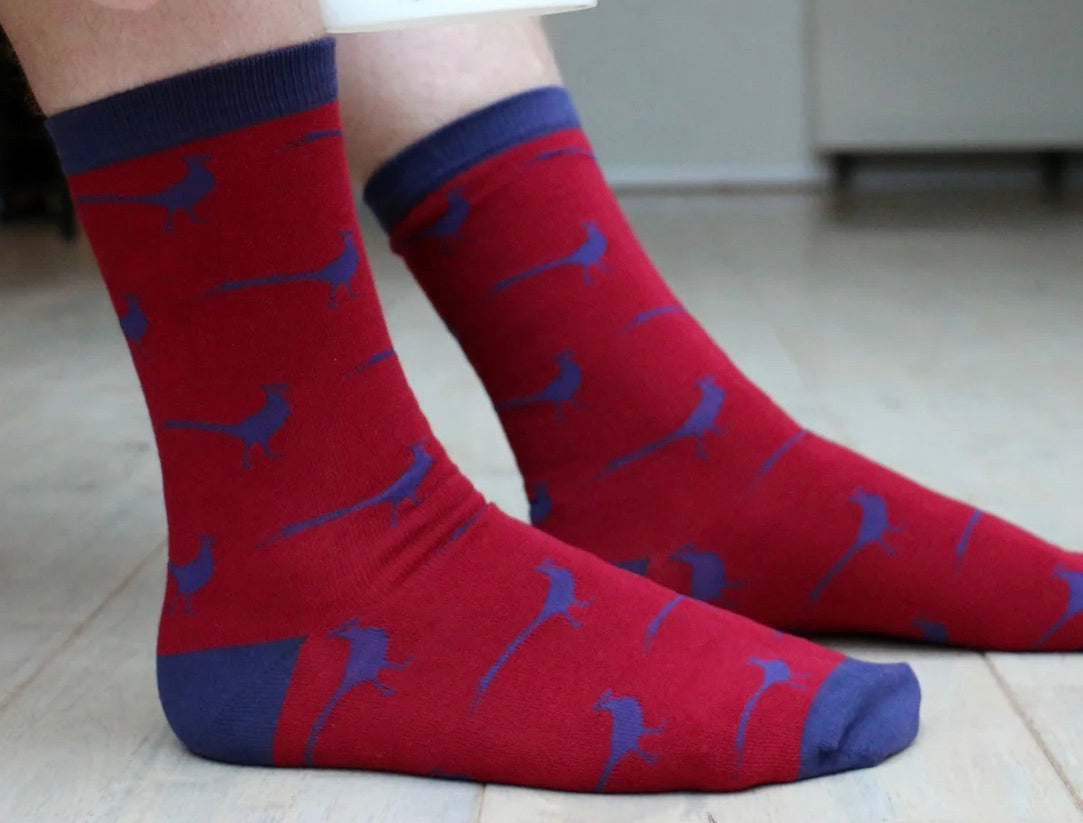 David Aster Pheasant Luxury Cotton Socks