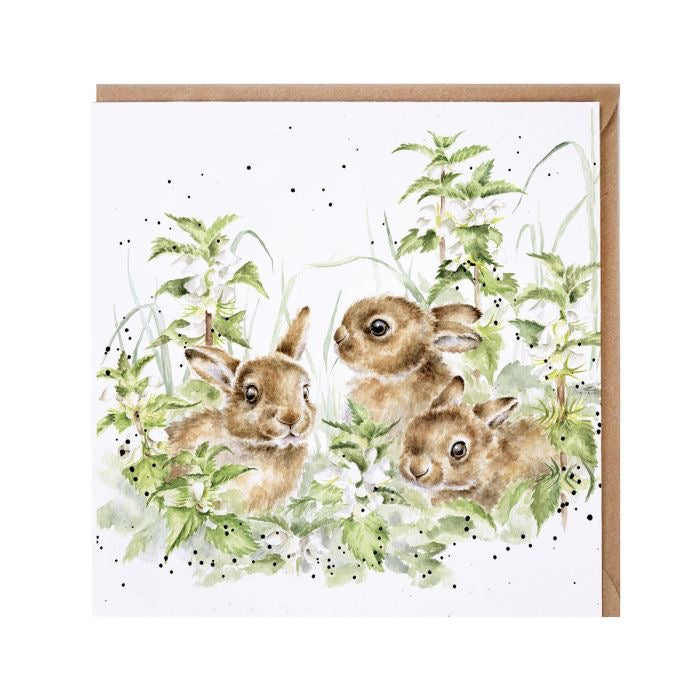 Spring Hares - Blank Card - Wrendale Designs