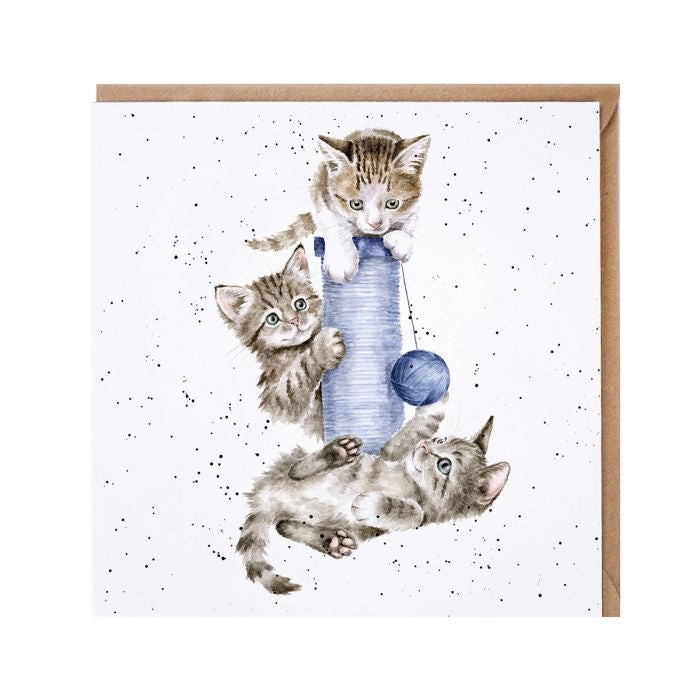 Three's a Crowd Cat - Blank Card - Wrendale Designs
