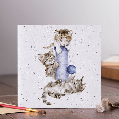 Three's a Crowd Cat - Blank Card - Wrendale Designs