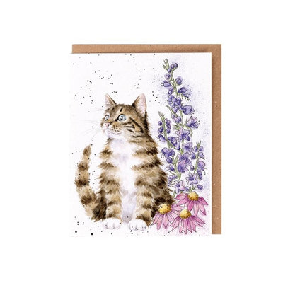 Whiskers & Wildflowers - Seed Card - Wrendale Designs