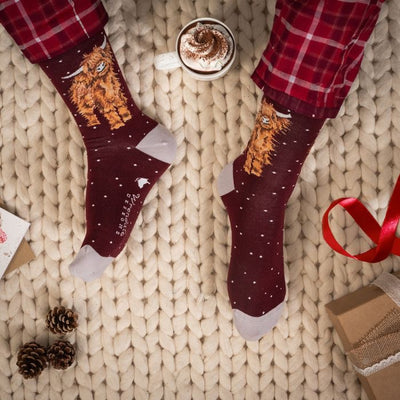 Highland Cow Christmas Mens Bamboo Socks - Burgundy - Wrendale Designs