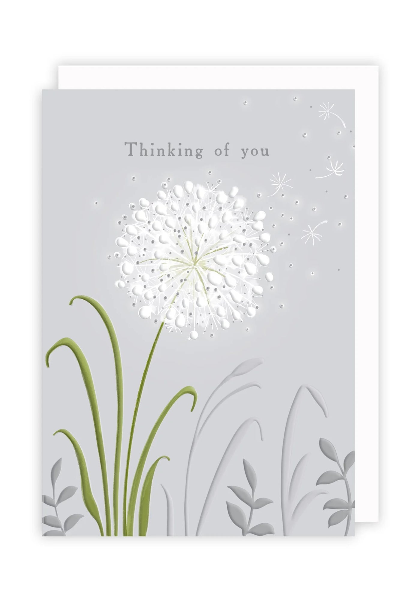 Rosanna Rossi Thinking of You Dandelion Card