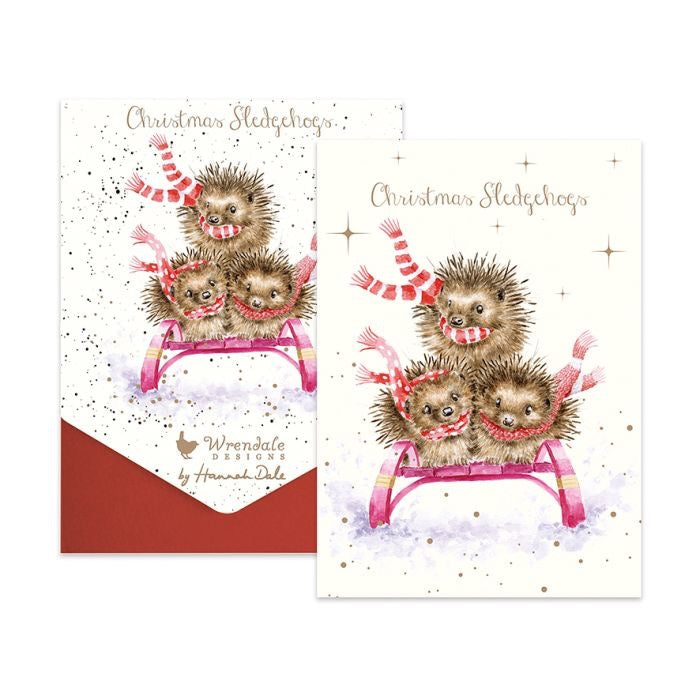 'Sledgehogs' Hedgehog Christmas Card Pack - Wrendale Designs