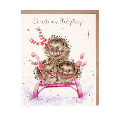 'Sledgehogs' Hedgehog Christmas Card Pack - Wrendale Designs