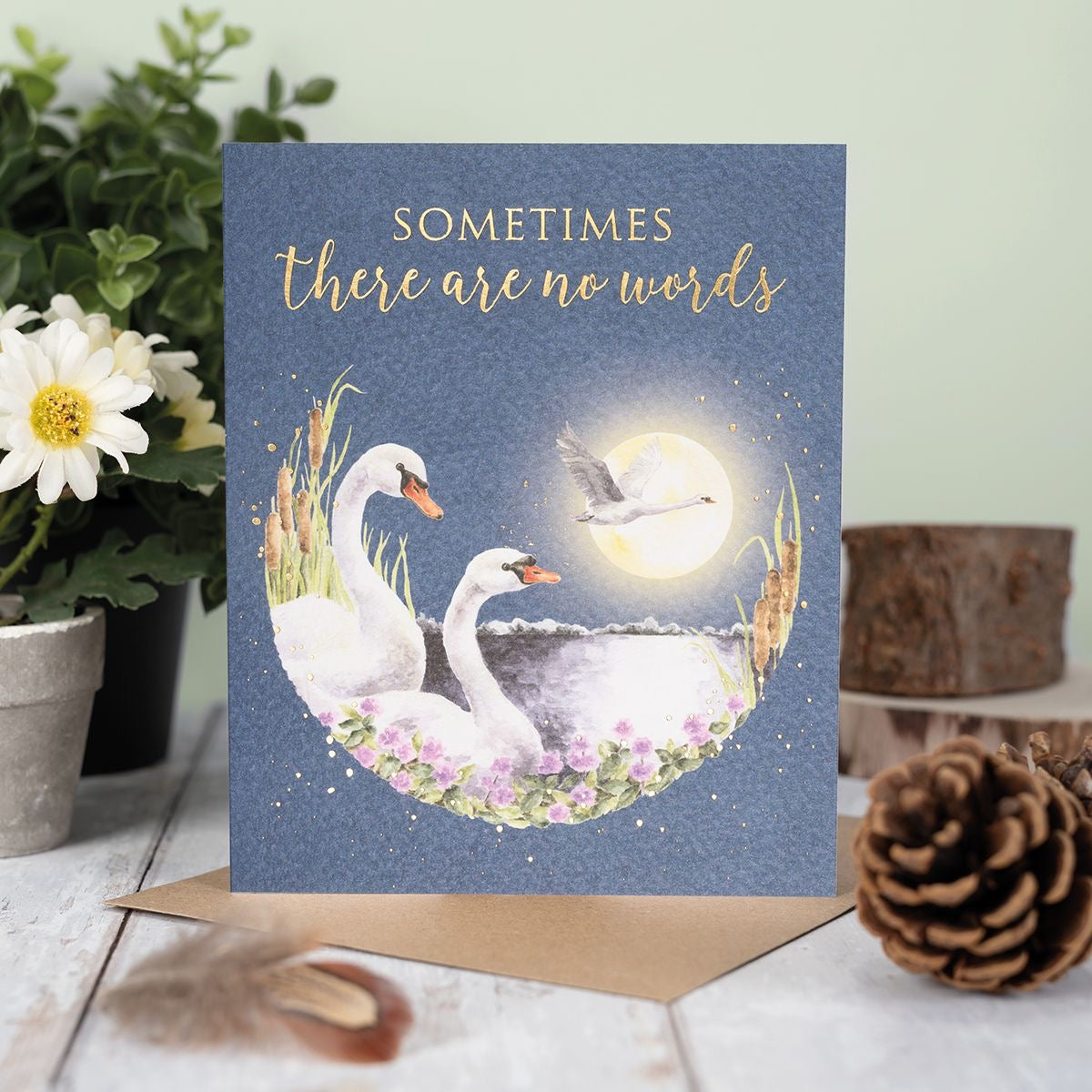 Sometimes there are No Words Swan Lake - Blank Card - Wrendale Designs