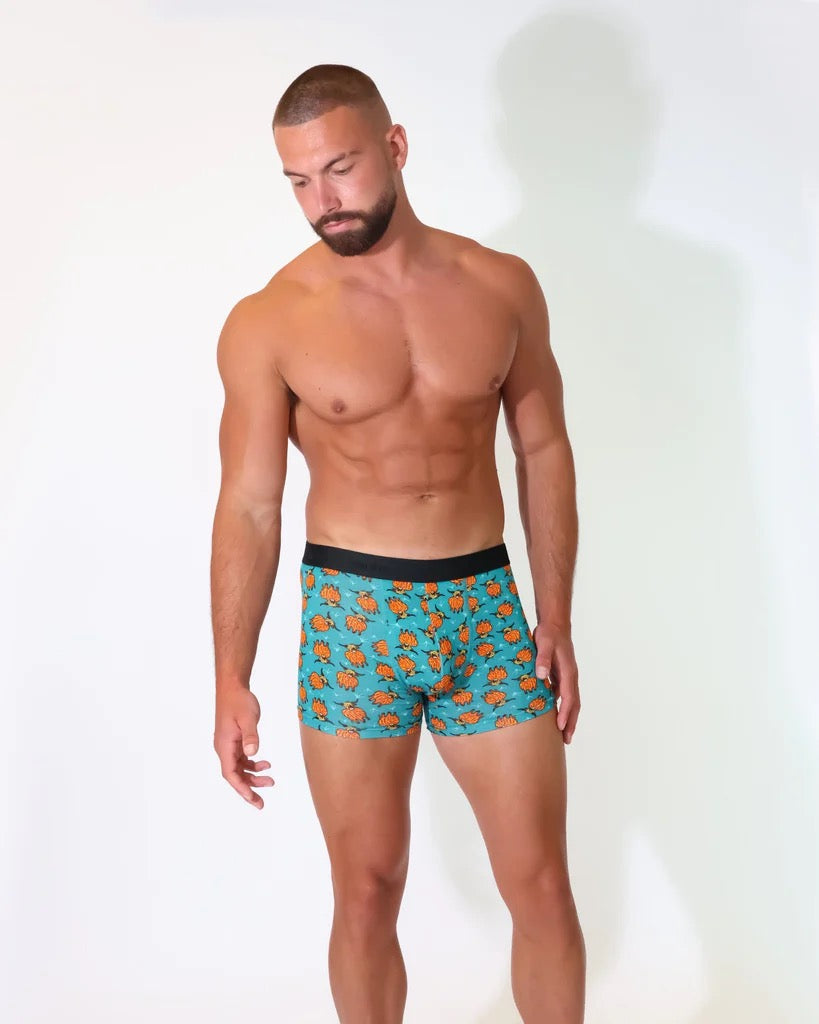 Eco Chic MENS Bamboo Boxers - Highland Cow - Teal